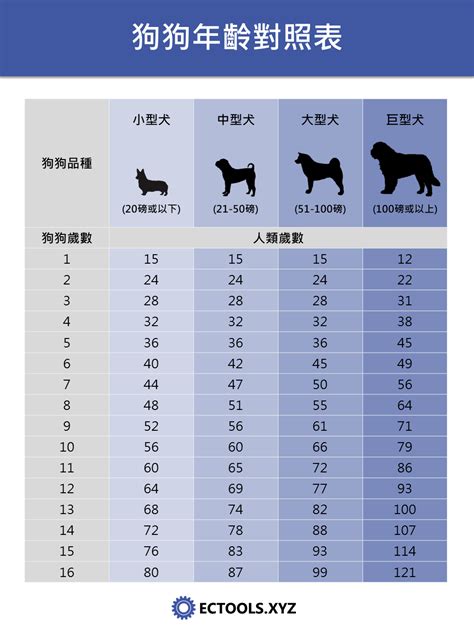 寵物年齡查詢|狗狗年齡換算器｜寵物年齡對照